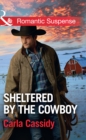 Image for Sheltered By The Cowboy
