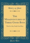 Image for The Misadventures of Three Good Boys: That Is to Say, Fairly Good Boys (Classic Reprint)
