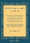 Image for Protestant Exiles From France in the Reign of Louis XIV, or the Huguenot Refugees and Their Descendants in Great Britain and Ireland: Index Volume, With Analysis, Alphabetical Tables and Notes; Also, 