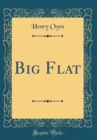 Image for Big Flat (Classic Reprint)