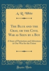 Image for The Blue and the Gray, or the Civil War as Seen by a Boy: A Story of Patriotism and Adventure in Our War for the Union (Classic Reprint)