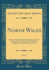 Image for North Wales, Vol. 1: Chester, Rhyl, Llandudno, Bangor, Llanrwst Bettws-Y-Coed, Carnarvon, Llanberis, Beddgelert, and Ffestiniog Sections (Classic Reprint)