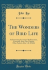 Image for The Wonders of Bird Life: An Interesting Account of the Education, Courtship, Sport Play, Fighting Other Aspects of the Life of Birds (Classic Reprint)