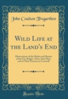 Image for Wild Life at the Land&#39;s End: Observations of the Habits and Haunts of the Fox, Badger, Otter, Seal, Hare, and of Their Pursuers in Cornwall (Classic Reprint)