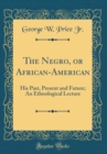 Image for The Negro, or African-American: His Past, Present and Future; An Ethnological Lecture (Classic Reprint)