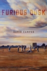 Image for Furious Dusk