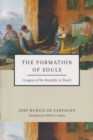 Image for The formation of souls  : imagery of the Republic in Brazil