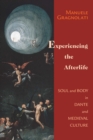 Image for Experiencing the Afterlife: Soul and Body in Dante and Medieval Culture