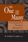 Image for The one and the many: a contemporary Thomistic metaphysics