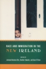 Image for Race and Immigration in the New Ireland
