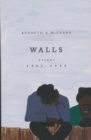 Image for Walls: essays 1985-1990