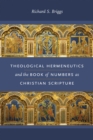 Image for Theological Hermeneutics and the Book of Numbers As Christian Scripture