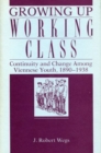 Image for Growing Up Working Class - Continuity and Change Among Viennese Youth, 1890-1938