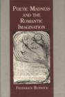Image for Poetic Madness and the Romantic Imagination