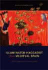 Image for Illuminated haggadot from medieval Spain  : biblical imagery and the Passover holiday