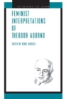Image for Feminist Interpretations of Theodor Adorno