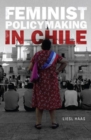 Image for Feminist Policymaking in Chile