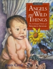 Image for Angels and Wild Things : The Archetypal Poetics of Maurice Sendak