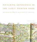 Image for Picturing Experience in the Early Printed Book