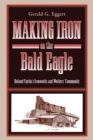 Image for Making Iron on the Bald Eagle : Roland Curtin&#39;s Ironworks and Workers&#39; Community