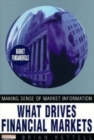 Image for What Drives Financial Markets
