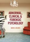Image for Introduction to abnormal psychology