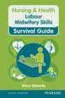 Image for Labour midwifery skills