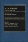 Image for Silica, Silicosis and Cancer