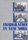 Image for Immigration in New York