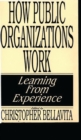 Image for How Public Organizations Work : Learning from Experience