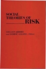 Image for Social Theories of Risk
