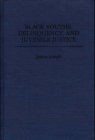 Image for Black Youths, Delinquency, and Juvenile Justice
