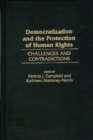 Image for Democratization and the Protection of Human Rights