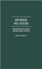 Image for Divided we stand  : American Jews, Israel, and the peace process