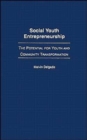 Image for Social Youth Entrepreneurship : The Potential for Youth and Community Transformation