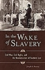 Image for In the Wake of Slavery