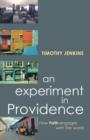 Image for An Experiment in Providence