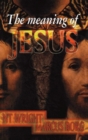 Image for The meaning of Jesus: two visions