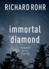 Image for Immortal Diamond : The Search For Our True Self