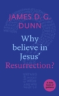 Image for Why believe in Jesus&#39; resurrection?  : a little book of guidance