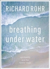 Image for Breathing under water  : spirituality and the twelve steps