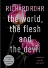 Image for The world, the flesh and the devil  : What do we do with evil?