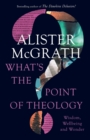 Image for What&#39;s the point of theology?  : wisdom, wellbeing and wonder