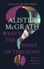 Image for What&#39;s the Point of Theology?: Wisdom, Wellbeing and Wonder