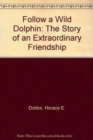Image for Follow a Wild Dolphin : The Story of an Extraordinary Friendship