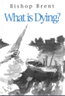 Image for What is dying?