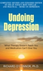 Image for Undoing Depression: What Therapy Doesn&#39;t Teach You and Medication Can&#39;t Give You