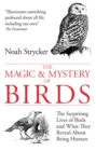Image for The Magic &amp; Mystery of Birds