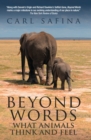 Image for Beyond Words