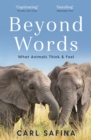 Image for Beyond words: what animals think and feel